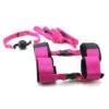 Fetish Fantasy Pink Passion Bondage Kit