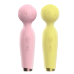 The Flower Wand massager