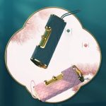 Clutch Purse