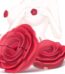 Rose Nipple Vibrators – Buy in Jamaica at Aura Viibe