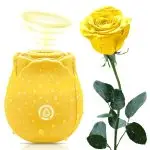 Rose Wellness Collection in purple, yellow, red, green, blue, pink and black
