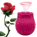 Rose Wellness Collection in purple, yellow, red, green, blue, pink and black