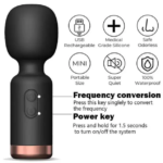 Front view of Mini Silicone Wand Massager Jamaica black design Aura Viibe